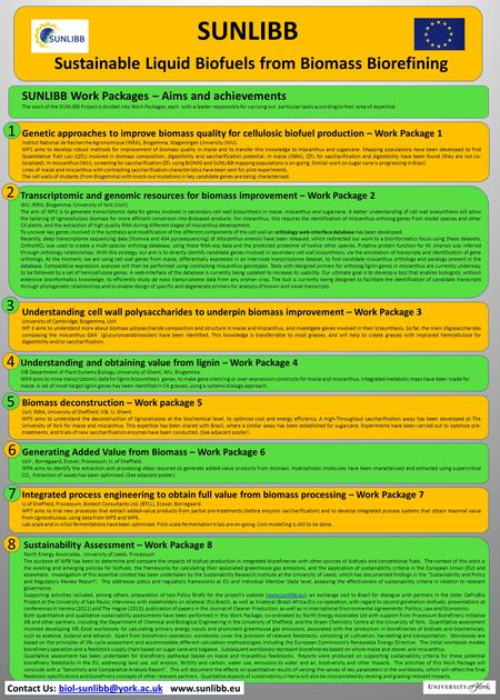 Sustainability Assessment – Work Package 8 North Energy Associates, University of Leeds, Processum. The purpose of WP8 has been to determine and compare.