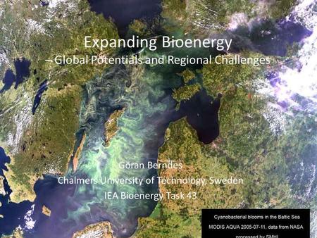 Göran Berndes Chalmers University of Technology, Sweden IEA Bioenergy Task 43 Expanding Bioenergy – Global Potentials and Regional Challenges.