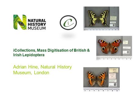 Adrian Hine, Natural History Museum, London