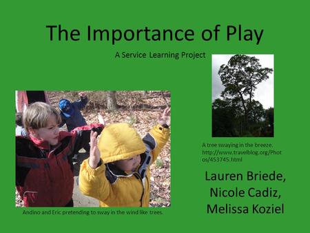 The Importance of Play Lauren Briede, Nicole Cadiz, Melissa Koziel A Service Learning Project Andino and Eric pretending to sway in the wind like trees.