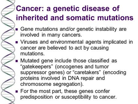 Cancer: a genetic disease of inherited and somatic mutations n Gene mutations and/or genetic instability are involved in many cancers. n Viruses and environmental.