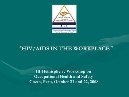 III Hemispheric Workshop on Occupational Health and Safety Cuzco, Peru, October 21 and 22, 2008 “ HIV/AIDS IN THE WORKPLACE ”