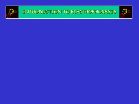 INTRODUCTION TO ELECTROPHORESIS