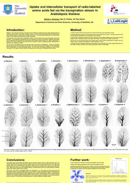 L-Glycine ● L-Serine ● L-Threonine ● L-Tyrosine ● L-Glutamine ● L-Glutamate ● L-Aspartate ● D-Aspartate ● L-Alanine ● L-Leucine ● L-Isoleucine ● L-Proline.