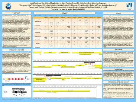 Identification of the Origin of Replication of Gram-Positive Anaerobic Bacterium Clostridium taeniosporum Thompson, Jose §, Bode, Addys §, Shrenker, Natalie.