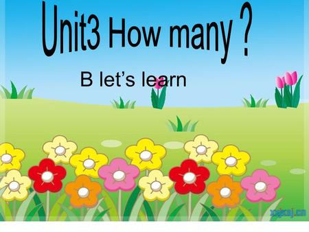 B let’s learn How many dogs can you see ? I can seeThirteen.