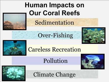 Human Impacts on Our Coral Reefs