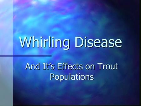 Whirling Disease And It’s Effects on Trout Populations.