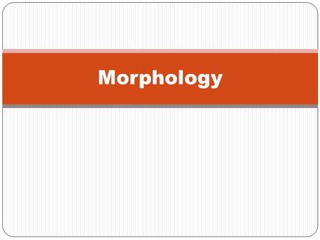 Morphology.