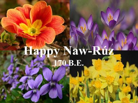 Happy Naw-Rúz 170 B.E. The Bahá’í New Year, like the ancient Persian New Year, is astronomically fixed, commencing at the March equinox (usually March.