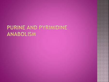 OBJECTIVES: 1.Nomenclature of nucleic acids: a. nucleosides* b. nucleotides 2.Structure and function of purines and pyrimidines. 3.Origin of atoms in.