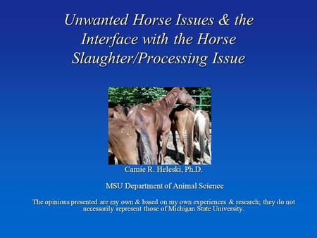 Unwanted Horse Issues & the Interface with the Horse Slaughter/Processing Issue Camie R. Heleski, Ph.D. MSU Department of Animal Science MSU Department.