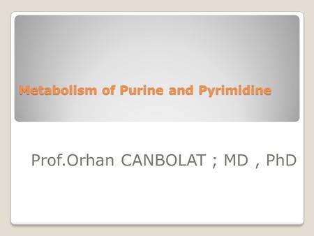 Metabolism of Purine and Pyrimidine