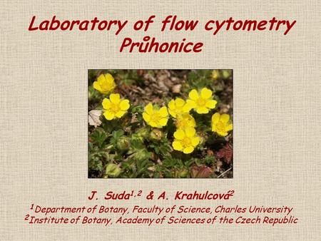 Laboratory of flow cytometry Průhonice J. Suda 1,2 & A. Krahulcová 2 1 Department of Botany, Faculty of Science, Charles University 2 Institute of Botany,