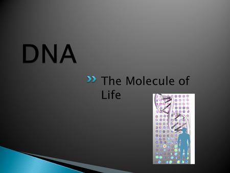 The Molecule of Life.  Carry the instructions to build proteins  Carry hereditary instructions from one generation to the next.  Nucleic acids are.