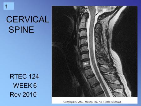 CERVICAL SPINE RTEC 124 WEEK 6 Rev 2010.