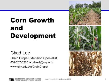 Corn Growth and Development