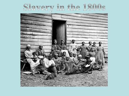 Your text here Slavery in the 1800s.