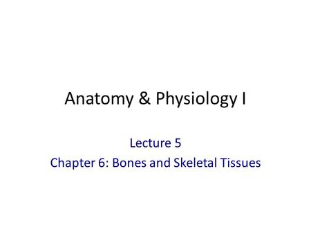 Lecture 5 Chapter 6: Bones and Skeletal Tissues