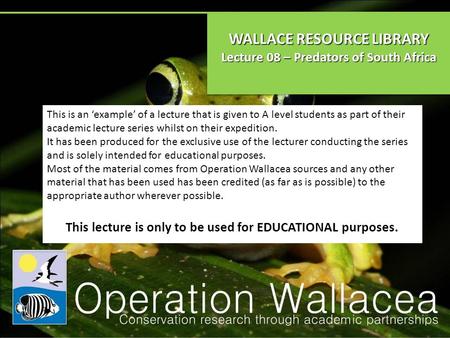 WALLACE RESOURCE LIBRARY Lecture 08 – Predators of South Africa WALLACE RESOURCE LIBRARY Lecture 08 – Predators of South Africa This is an ‘example’ of.