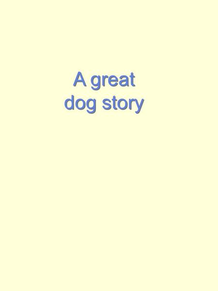 A great dog story A great dog story. An old, tired-looking dog wandered into our yard. I could tell from his collar and well-fed belly that he had a home.