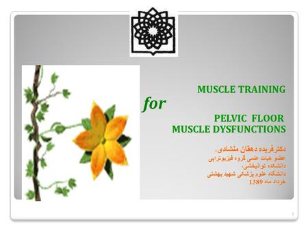 MUSCLE TRAINING for PELVIC FLOOR MUSCLE DYSFUNCTIONS MUSCLE DYSFUNCTIONS دکترفریده دهقان منشادی ، عضو هیات علمی گروه فیزیوتراپی دانشکده توانبخشی، دانشگاه.