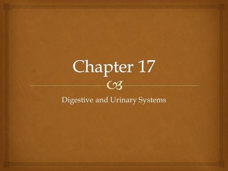 Digestive and Urinary Systems