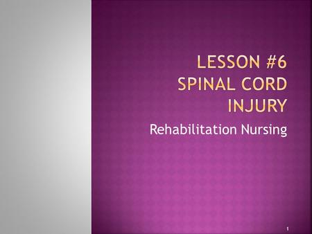 Rehabilitation Nursing 1. 2  Mutual understanding of level of spinal cord injury determined in 1983 and redone in 1992  American Spinal Cord Injury.