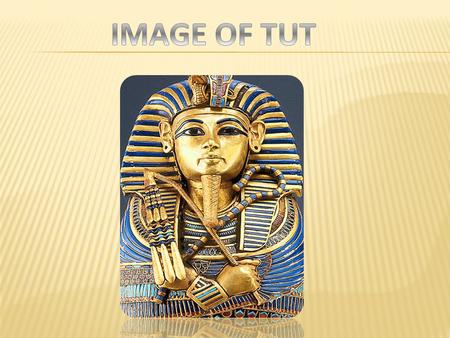 IMAGE OF TUT.