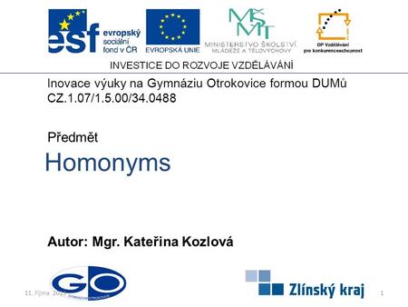 Homonyms Autor: Mgr. Kateřina Kozlová Předmět Inovace výuky na Gymnáziu Otrokovice formou DUMů CZ.1.07/1.5.00/34.0488 111. říjma 2013.