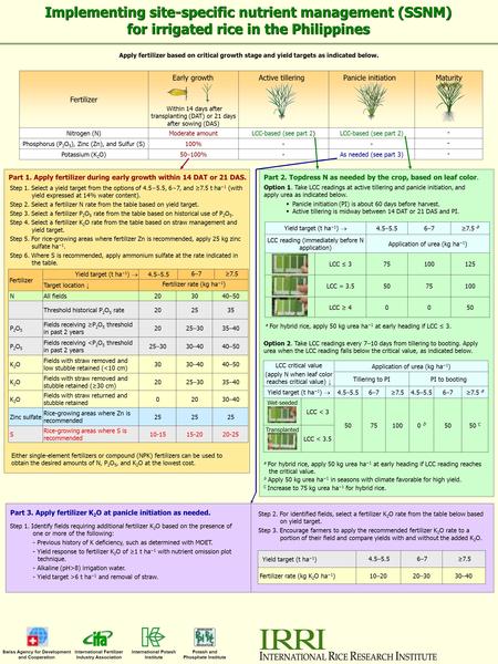 Implementing site-specific nutrient management (SSNM) for irrigated rice in the Philippines Fertilizer Within 14 days after transplanting (DAT) or 21 days.