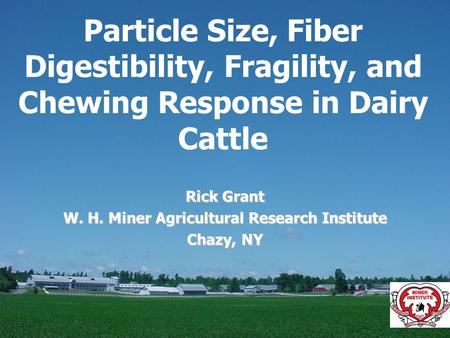 Particle Size, Fiber Digestibility, Fragility, and Chewing Response in Dairy Cattle Rick Grant W. H. Miner Agricultural Research Institute Chazy, NY.