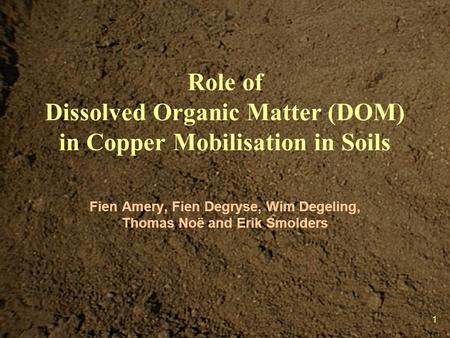 1 Role of Dissolved Organic Matter (DOM) in Copper Mobilisation in Soils Fien Amery, Fien Degryse, Wim Degeling, Thomas Noë and Erik Smolders 1.