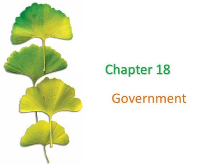 Government. Chapter Outline ©2015 McGraw-Hill Education. All Rights Reserved. 2 Public Goods Private Provision of Public Goods Public Choice Income Distribution.