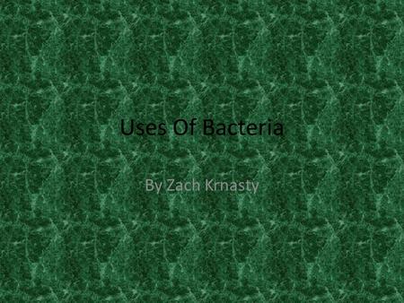 Uses Of Bacteria By Zach Krnasty. Medical Uses Probiotics: Some bacteria, such as acidophilus, are considered friendly. Many species of bacteria live.