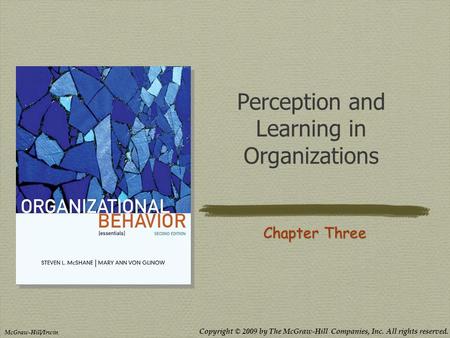 Copyright © 2009 by The McGraw-Hill Companies, Inc. All rights reserved. McGraw-Hill/Irwin Perception and Learning in Organizations Chapter Three.