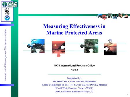 International MPA Management Effectiveness Initiative 1 Measuring Effectiveness in Marine Protected Areas Supported by: The David and Lucille Packard Foundation.