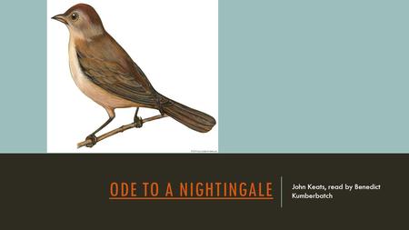 ODE TO A NIGHTINGALE John Keats, read by Benedict Kumberbatch.