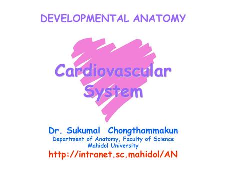 Cardiovascular System