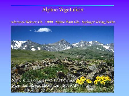 Alpine Vegetation Some slides courtesy of Bill Bowman