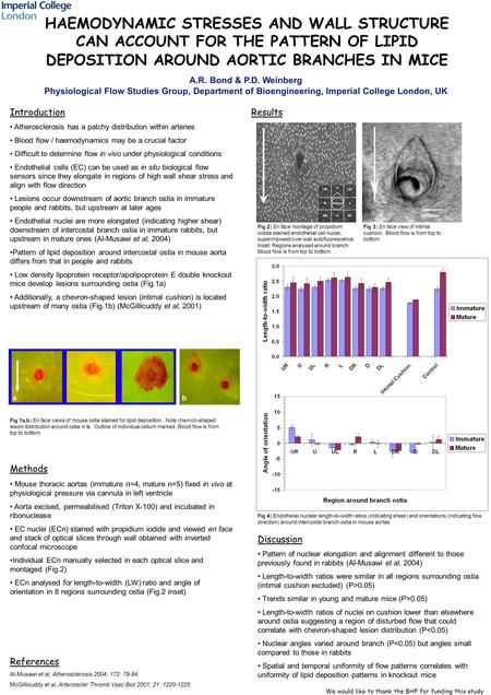 Methods Mouse thoracic aortas (immature n=4, mature n=5) fixed in vivo at physiological pressure via cannula in left ventricle Aorta excised, permeabilised.