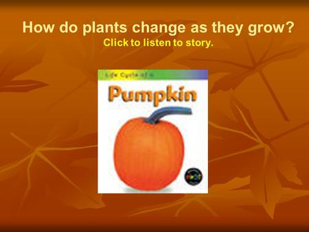 How do plants change as they grow? Click to listen to story.