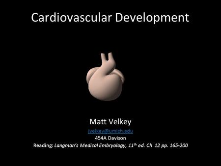 Cardiovascular Development