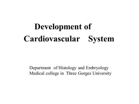 Cardiovascular System