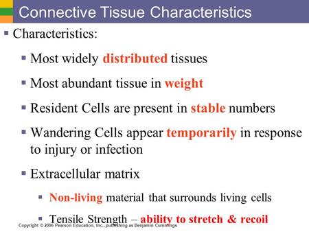 Copyright © 2006 Pearson Education, Inc., publishing as Benjamin Cummings Connective Tissue Characteristics  Characteristics:  Most widely distributed.