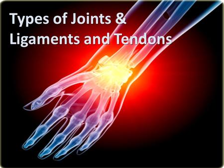 Types of Joints & Ligaments and Tendons