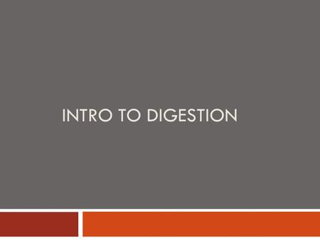 INTRO TO DIGESTION. Macromolecules  Macromolecules are large molecules (polymers)  Macronutrients are macromolecules needed in our diet  Provide the.