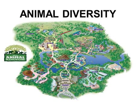 ANIMAL DIVERSITY. YOU MUST KNOW… THE CHARACTERISTICS OF ANIMALS THE STAGES OF ANIMAL DEVELOPMENT HOW TO SORT THE ANIMAL PHYLA BASED ON SYMMETRY, DEVLOPMENT.