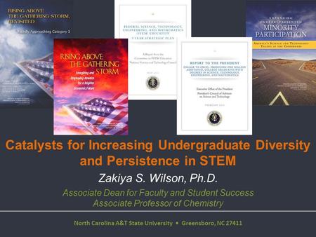 Catalysts for Increasing Undergraduate Diversity and Persistence in STEM Office of Strategic Initiatives Zakiya S. Wilson, Ph.D. Associate Dean for Faculty.