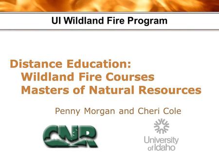 UI Wildland Fire Program Distance Education: Wildland Fire Courses Masters of Natural Resources Penny Morgan and Cheri Cole.